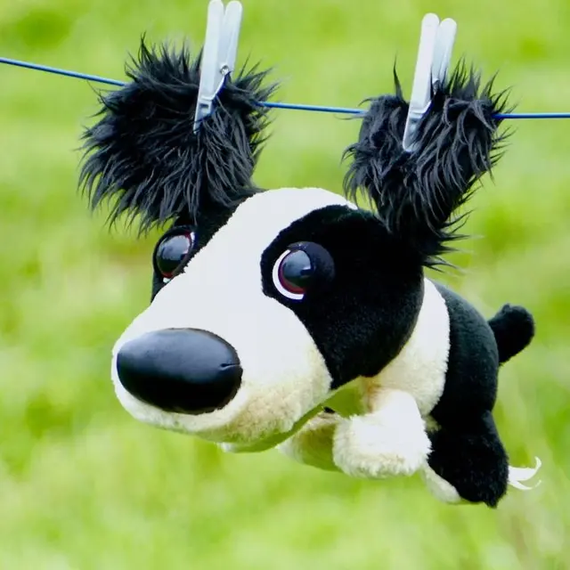 hreisho-stuffed-toy©Stéphane Chadourne de Pixabay