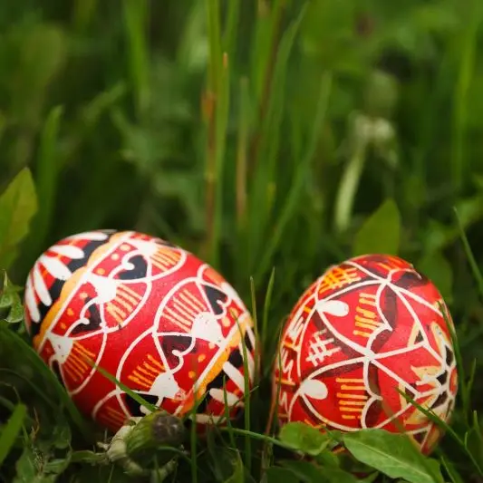 publicdomainpictures-bright©Pixabay