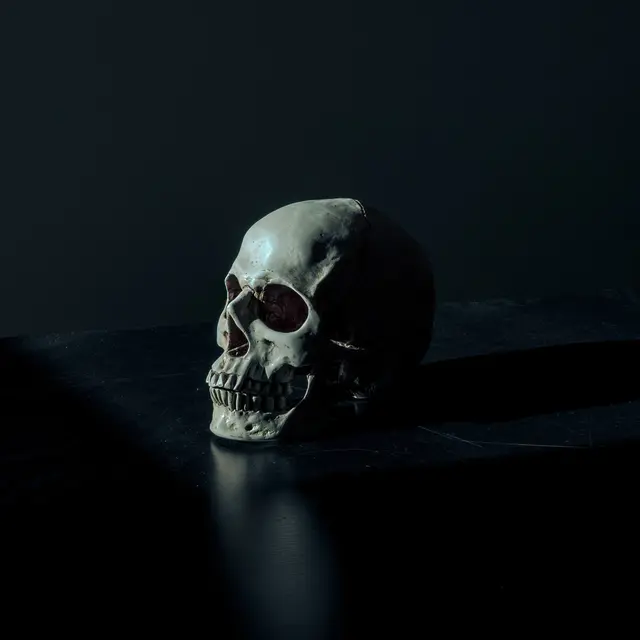 pexels-skull-1867707