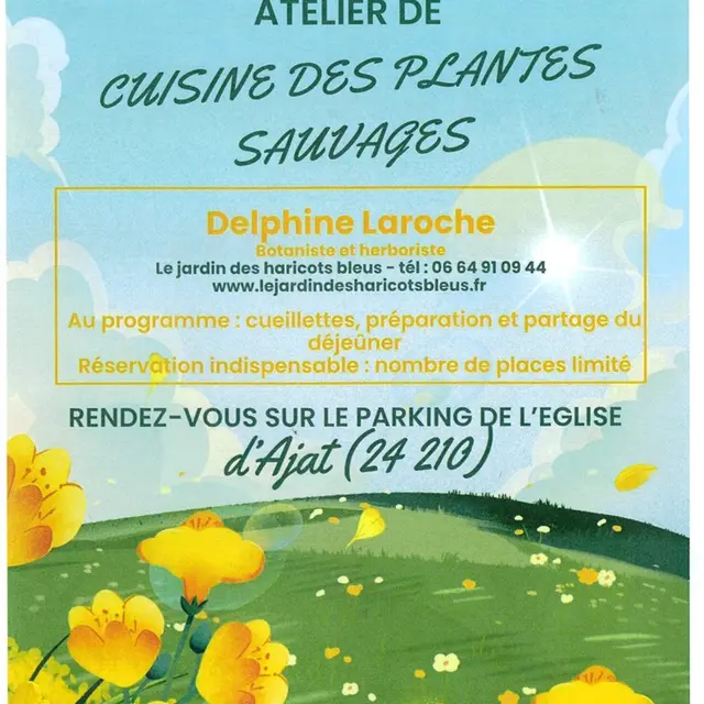 plantes