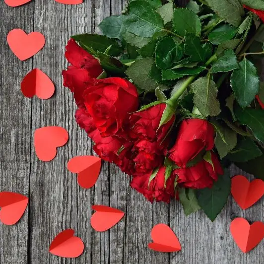 red-rose©Gabor Adonyi