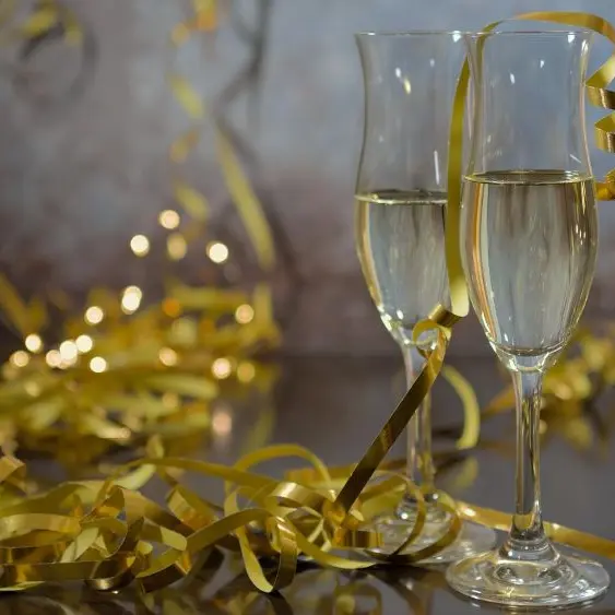 sylvester©Peggychoucair de pixabay