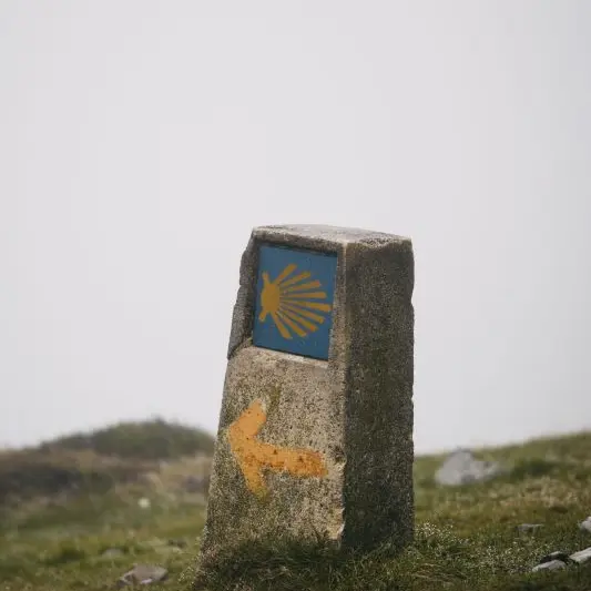 sergio-kian--I5WnegrC24-unsplash©Sergio Kian sur unsplash