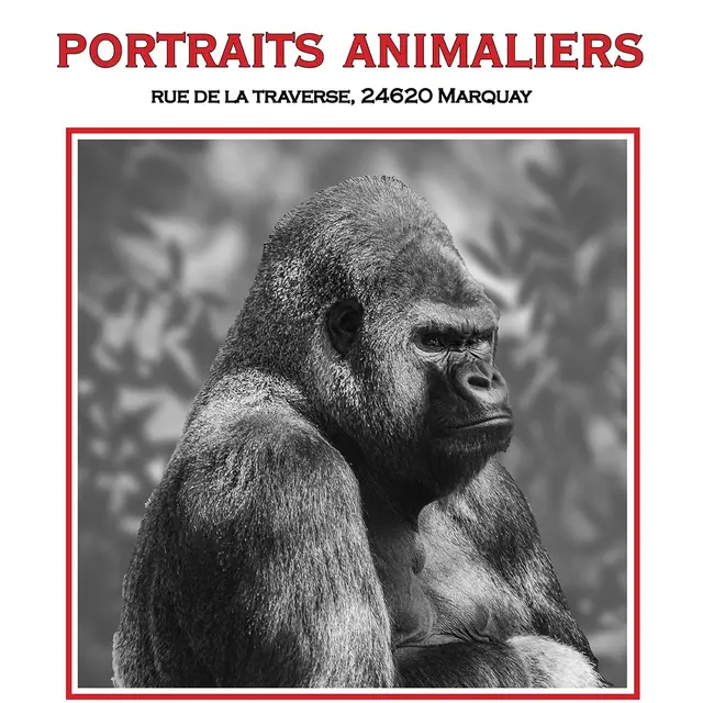 Portraits Animaliers