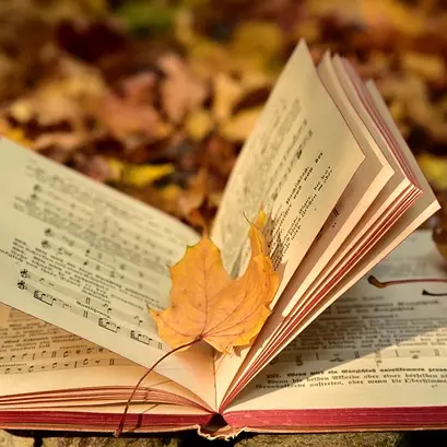 ulleo-a-book-3755514_640