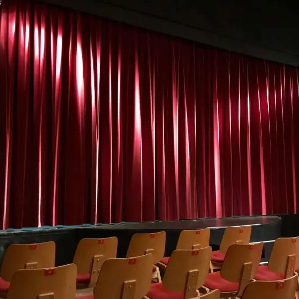 ulma93-auditorium-3079906©Ulli de Pixabay