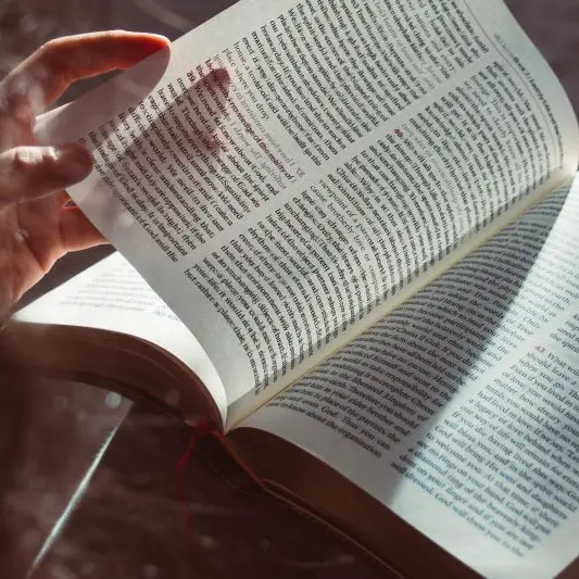 wal_172619-book-6957870_1920©Wal book de pixabay