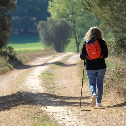 walking-7942311_640
