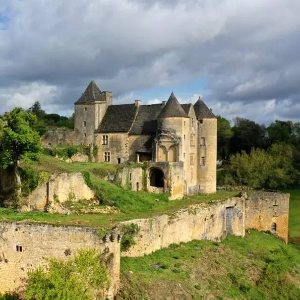 château de Salignac extérieur