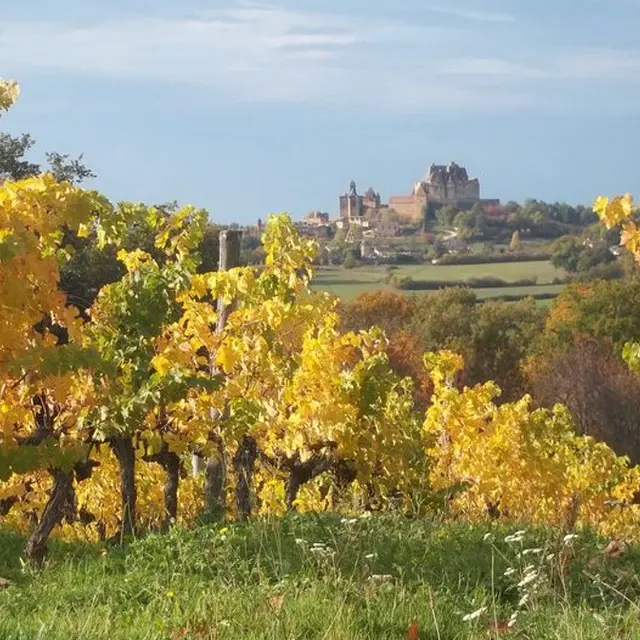 Domaine de la Tuque