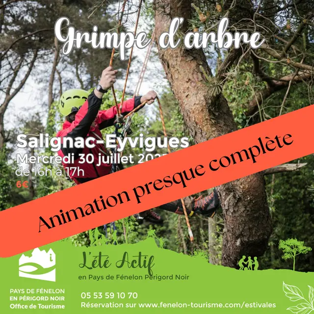 Visuels Estivales 2025 - 30/07 GRIMPE D'ARBRE