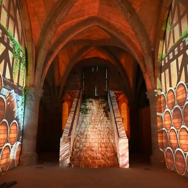 Chartres, 1000 ans d'éclat