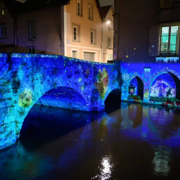 Chartres en Lumières