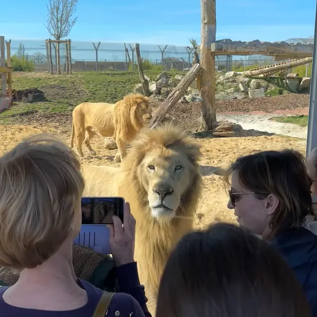 Rencontrez les pensionnaires du refuge La Tanière ©Sophie_Fernandes Petitot.jpeg