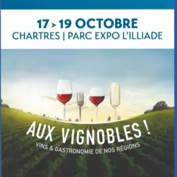 aux_vignobles_w480_h674_fitfill_1749458481