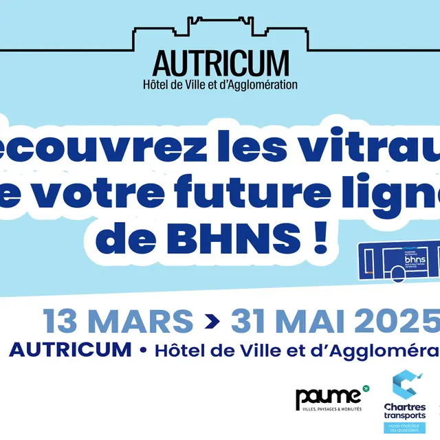 Les vitraux du BHNS