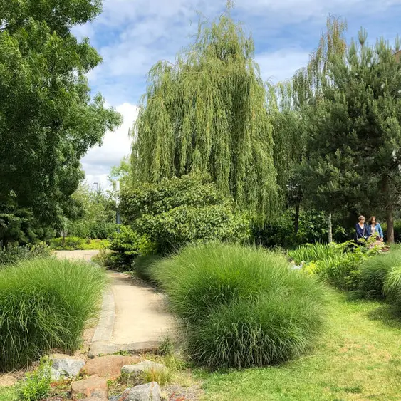 csm_quartier-grand-faubourg-espaces-verts-parc-pastieres-chartres-01_c7c1c618bd