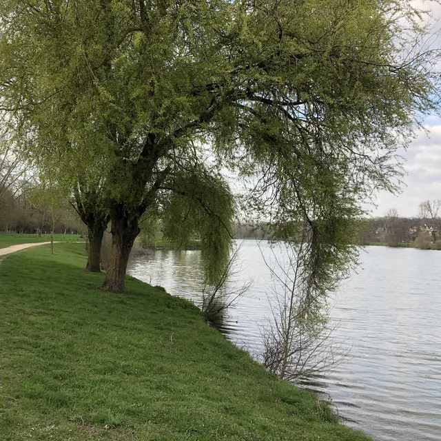 Etang de Luisant