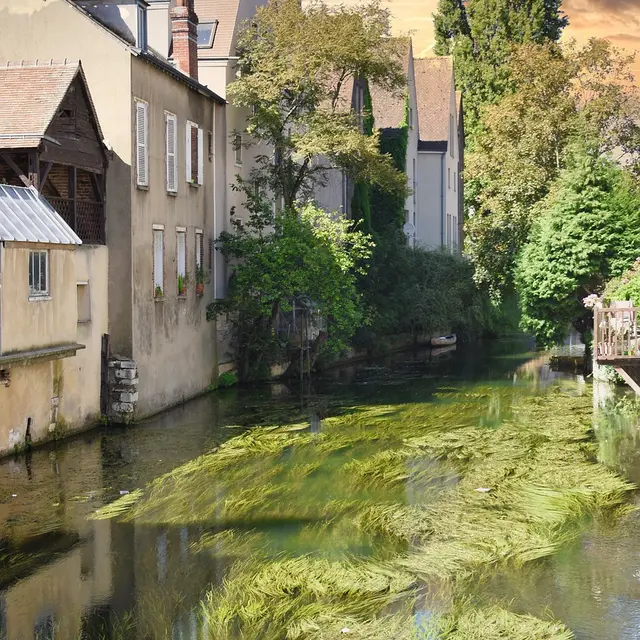 river-5472641_1280