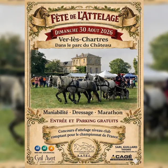 08-30-fete-attelage-parc-chateau-ver-les-chartres-chartres-metropole-16-9