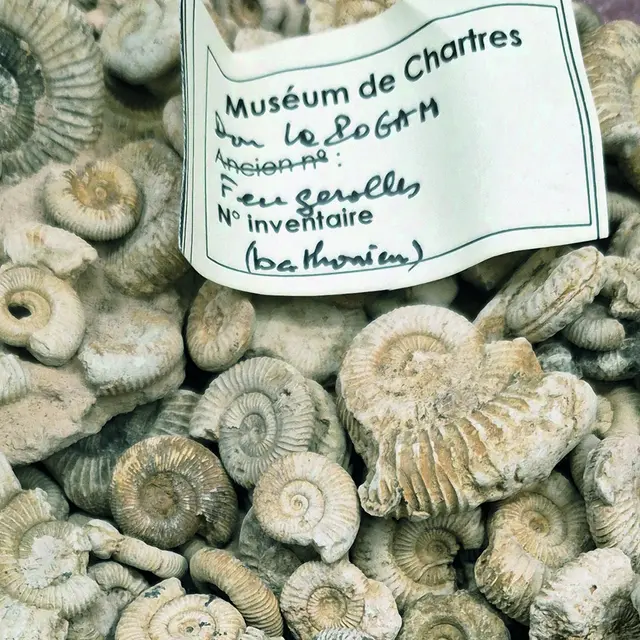 10-29-conference-jeudis-archeo-museum-histoire-naturelle-mediatheque-apostrophe-chartres-16-9