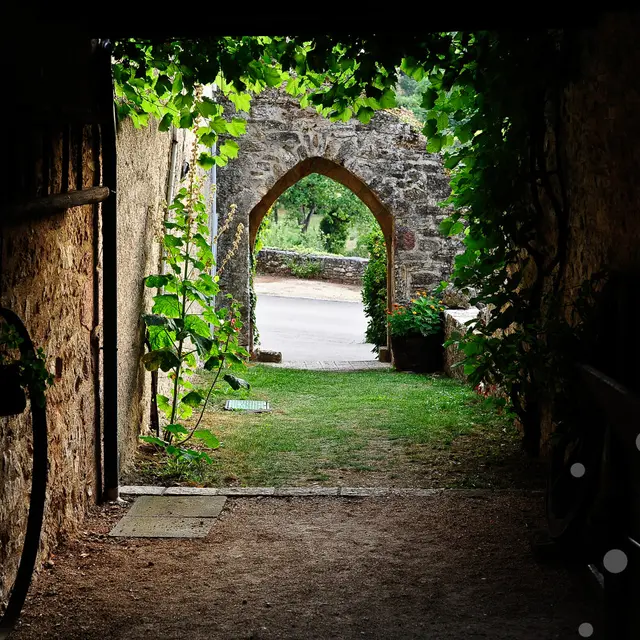 00415-OTVD-CC-BY-NCCochise-Ory---Vallee-de-la-Dordogne.jpg-1200px