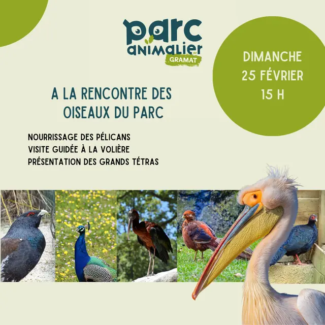 Découverte des oiseaux avec la LPO - 1