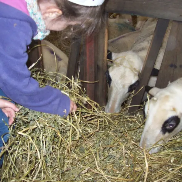 Ferme pédagogique La Brebis bavarde - Albiac