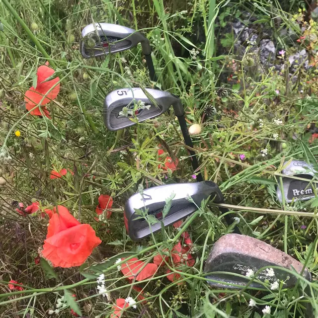 20-10-2-GOLF-SAUVAGE