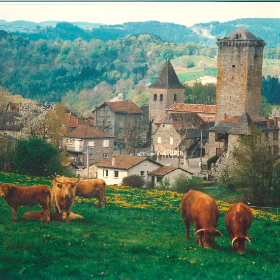 Teyssieu - Tour Médiévale XIIIé s.