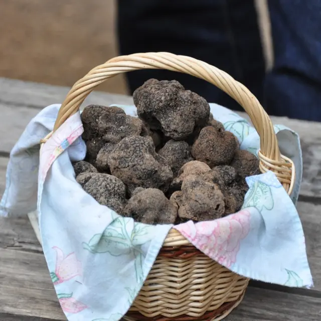 27-Panier de truffes Lot Tourisme-Christiane Roques