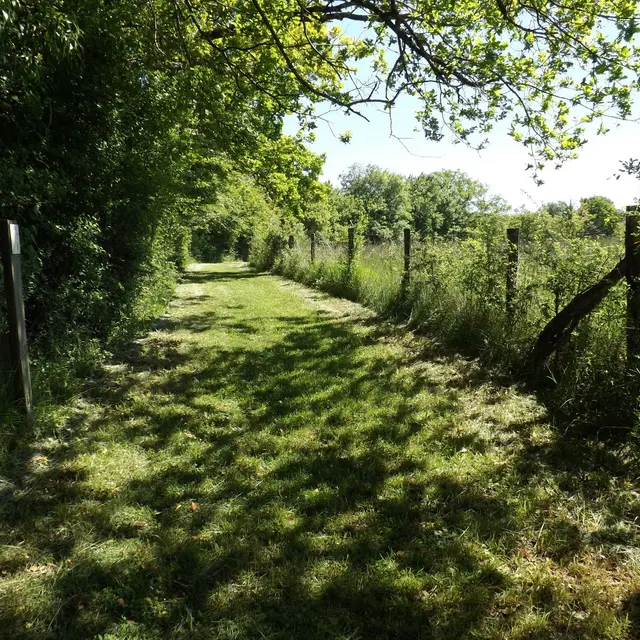 27062021-arbre-vie-usages-RNR