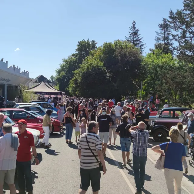270823-exposition de voitures anciennes-festivignon-acapl.jpeg