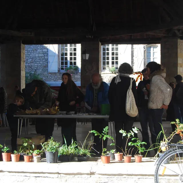 271024-balade botanique troc plantes-christine gauchet