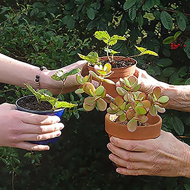28 avril 2024 Troc Plantes Gignac Ensemble