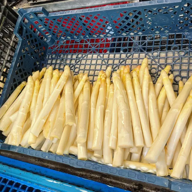 Gaec le saulou-baladou-asperges