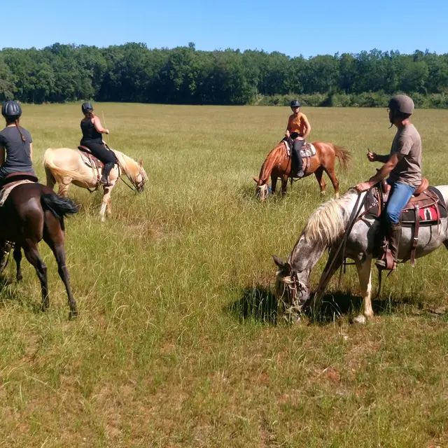 Centre équestre Le Ranch des Centaurées - ALBAS