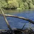 Bois mort dans la rivière Dordogne