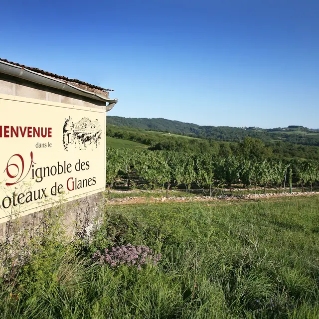 vignoble de glanes-® lot tourisme - j. morel-3