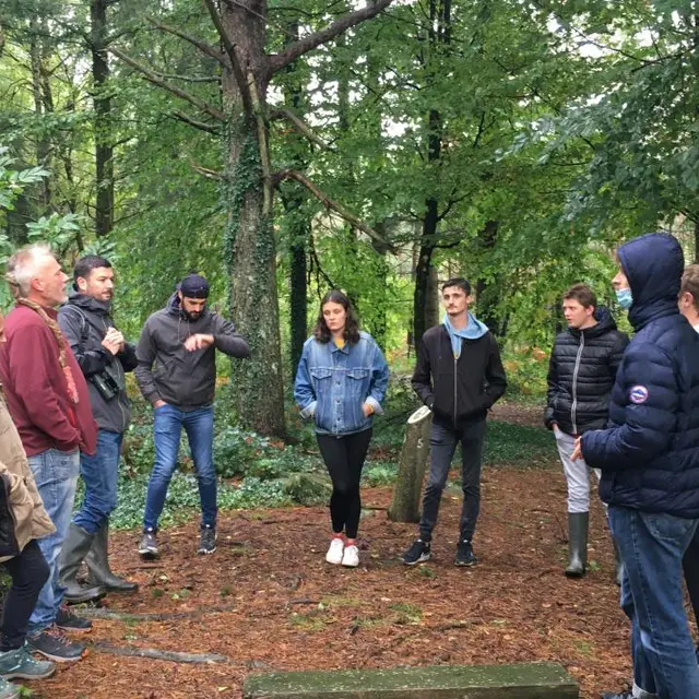 visite bitarelle