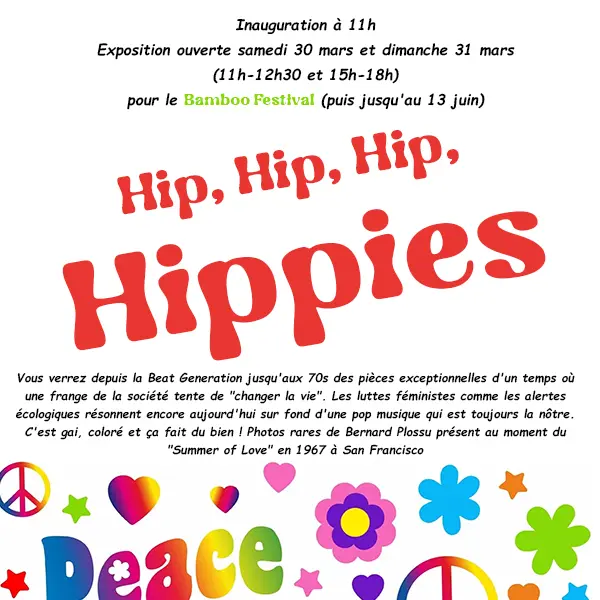 Affiche Hippies à Nuage vert_72dpi