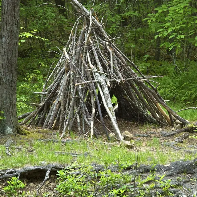 Atelier construction cabane