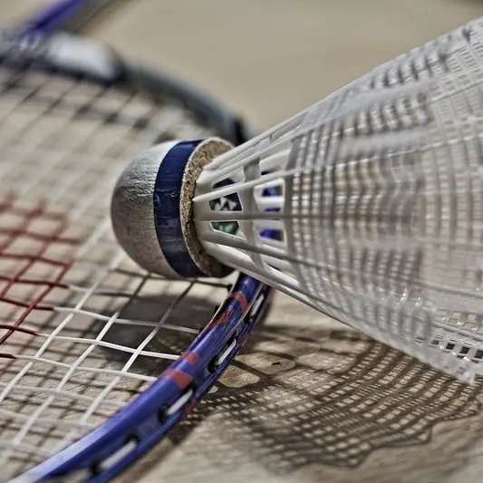 Badminton2