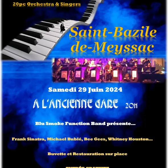 Blu Smoke Function Band