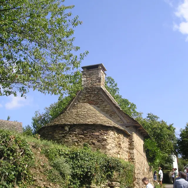 Cahus