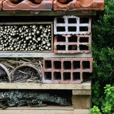 Hôtel à insectes