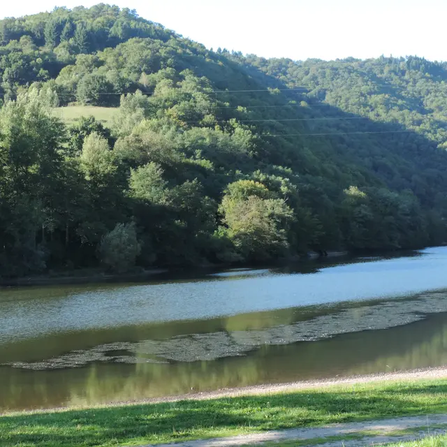 Cère et forêt ©M.Légeron