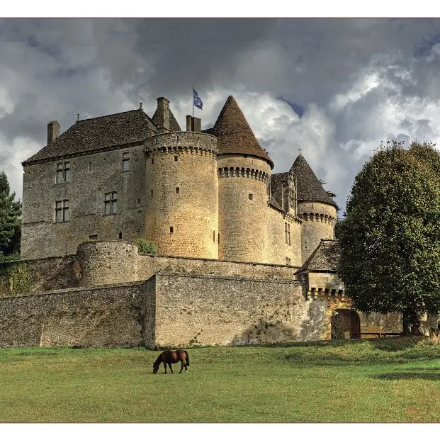 Château de Fénelon