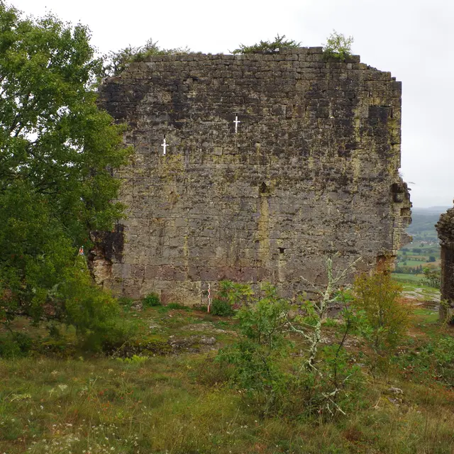 Château de Taillefer