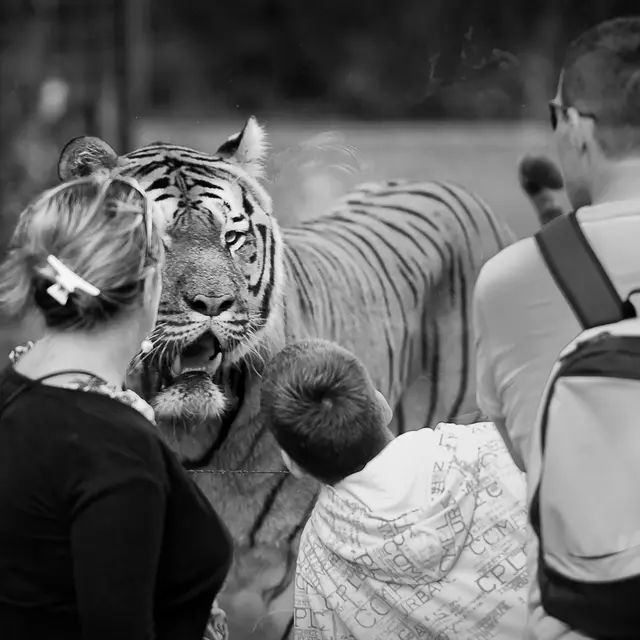 Expo Nature ou culture septembre MdPatrimoine